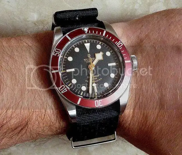 15250052157_93cf121cf0_z_zps51fm4vaa.webp