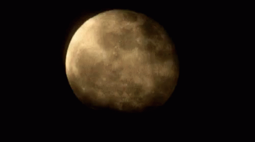 15371F92-53EC-4F26-A4CD-4431A1D2F190.gif