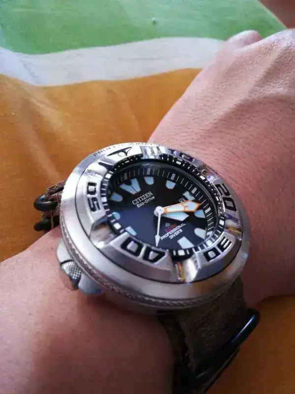 1555168759236.webp