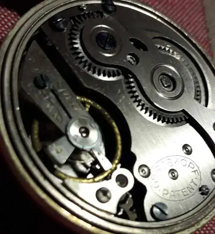 1555429350243~2.webp