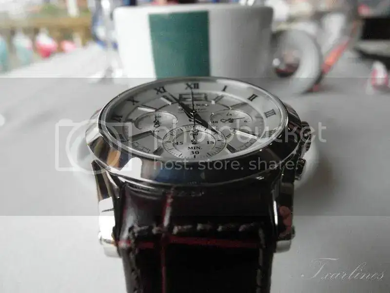15Copiar_zps7915cf5a.webp