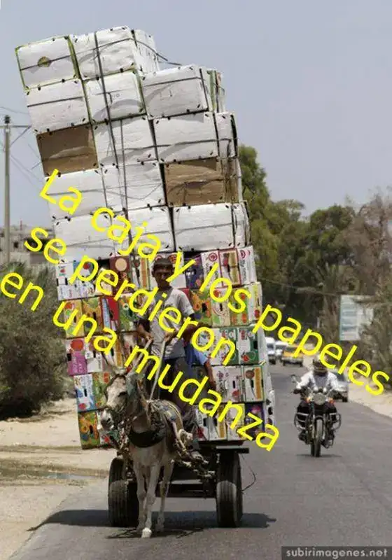 15f22452c264fbd7d139387172fe9910.webp