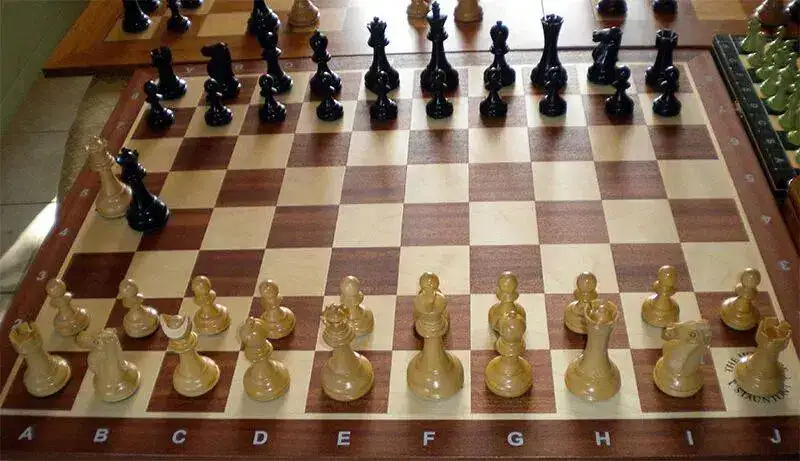 1624034189263.webp