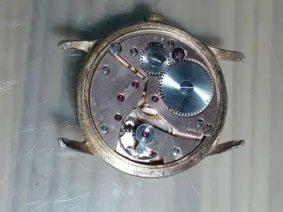 1624295315626.webp