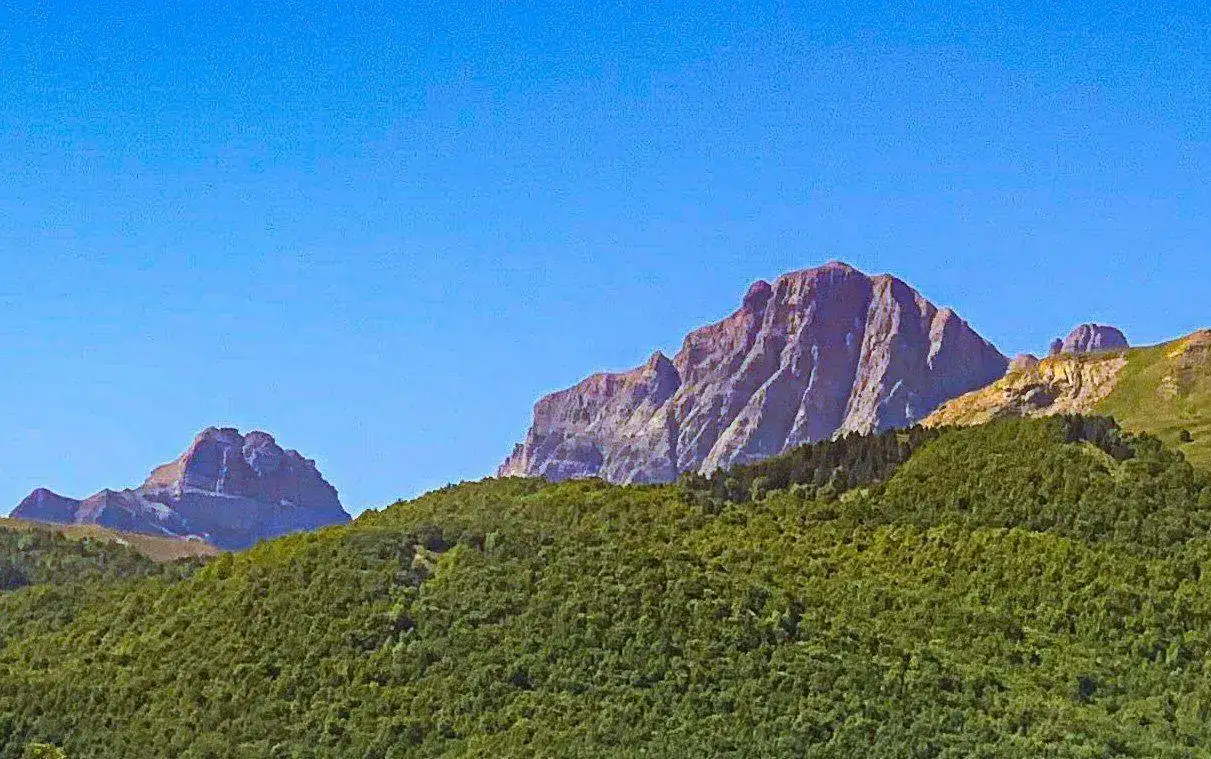 1626599457149.webp
