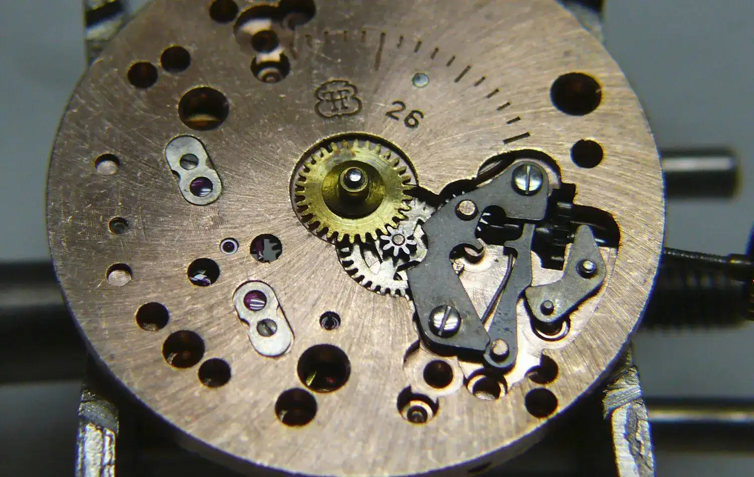 1628110008102.png