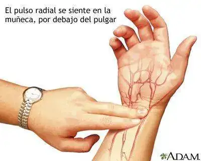 1630002475877.webp