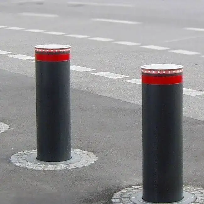 1631012336019.png