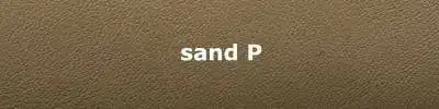 1631961516963.webp