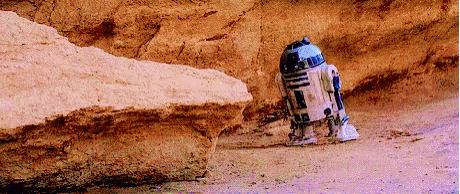163F5B1B-39C3-43D8-AC19-23380897AD89.gif