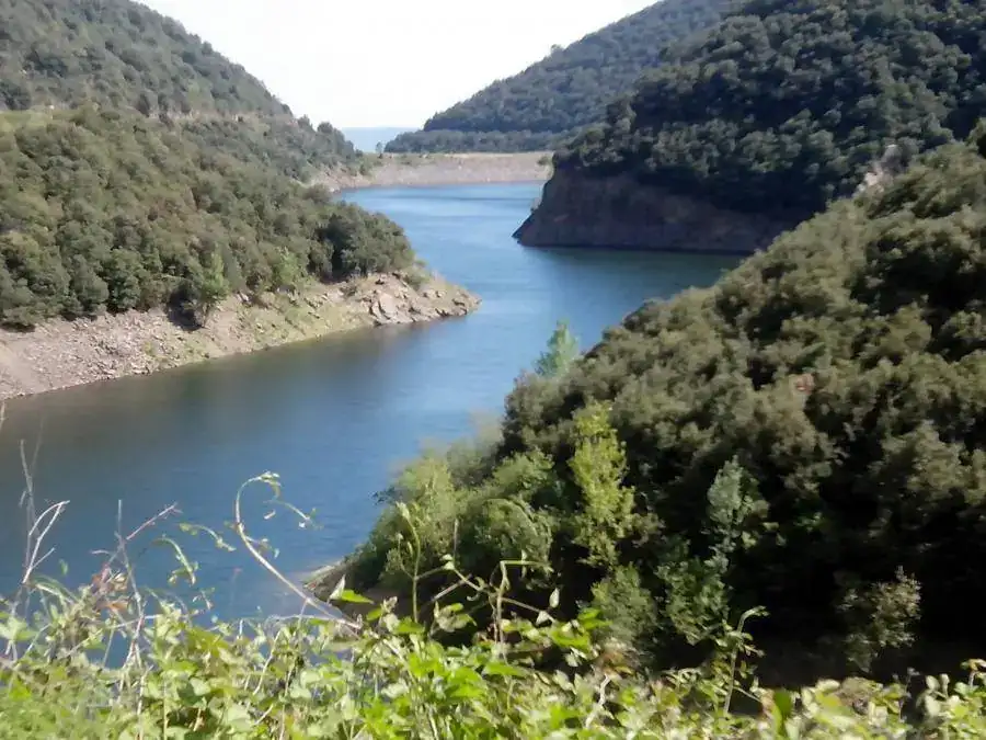 164.webp