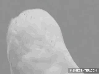 1640937457649.gif