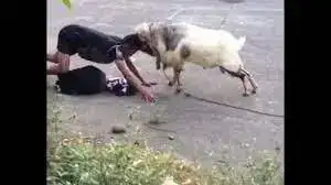 1659046118485.webp