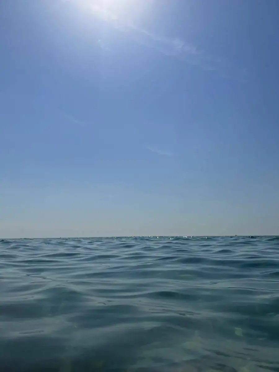 1660300798548.webp