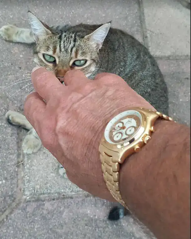 1661639309447.webp