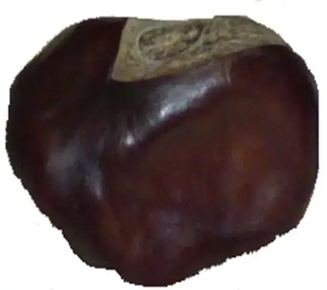 1663869659566.png