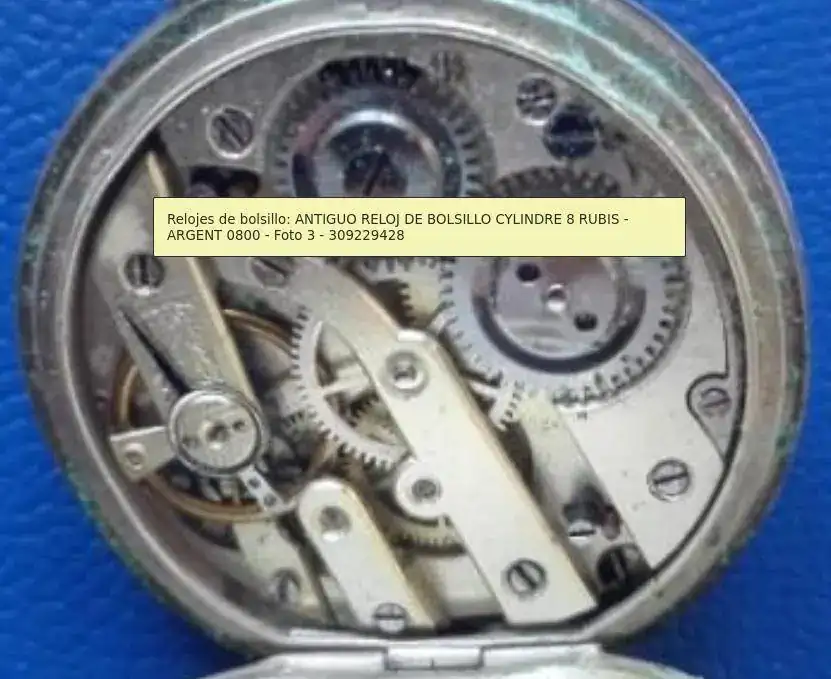 1669013462220.jpeg