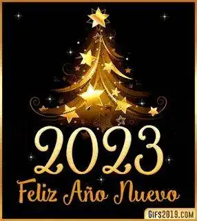 1672398056048.webp