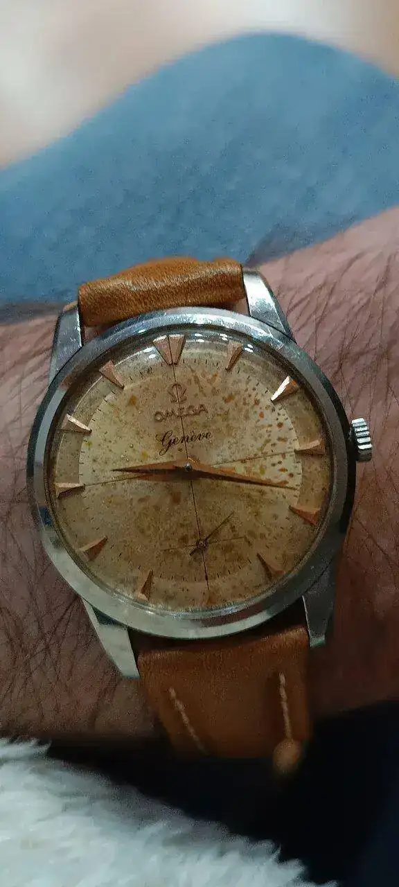 1681500336687.jpg
