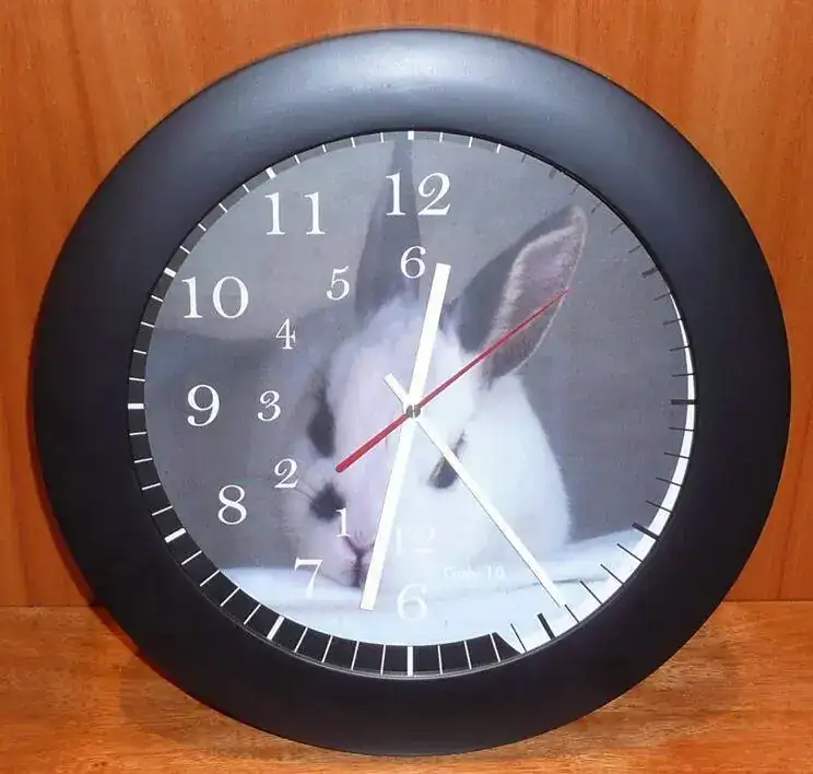 1686297142660.png
