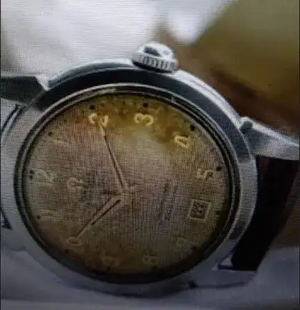 1687004807558.webp