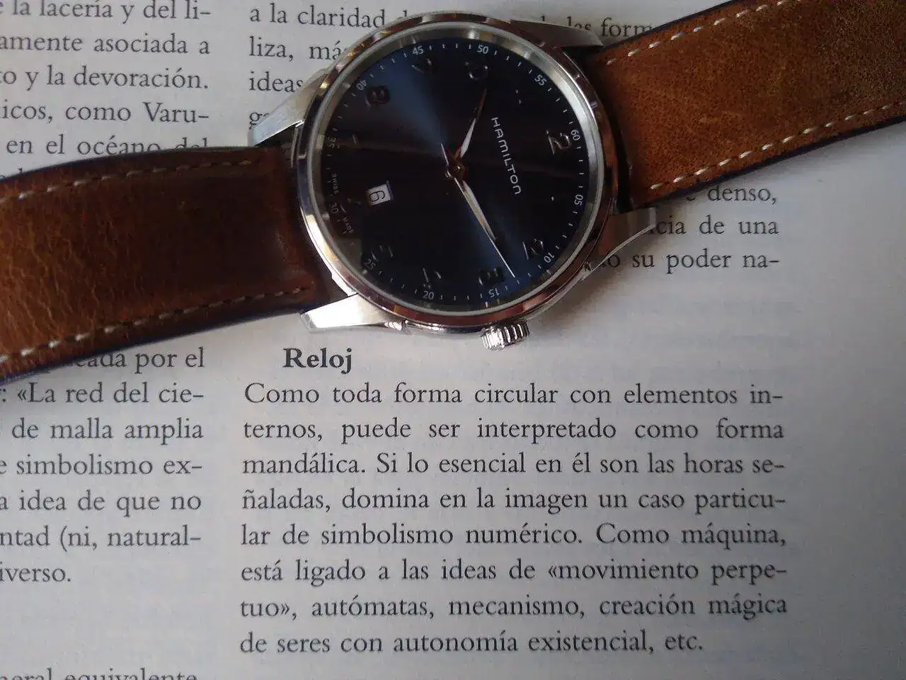 1689153072487196755018637970466.webp