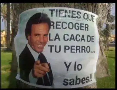 1690395455526.webp