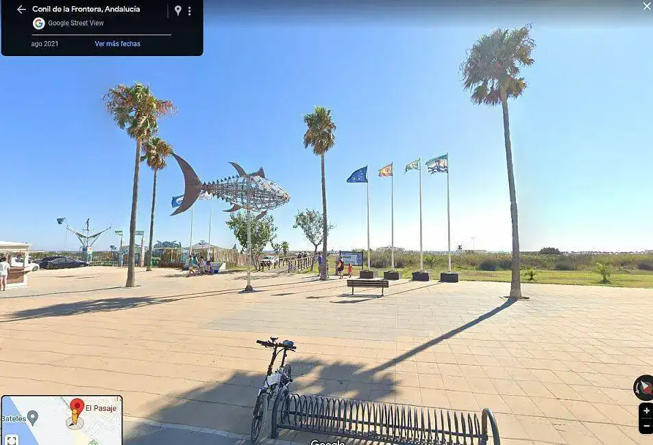 1690435170437.webp