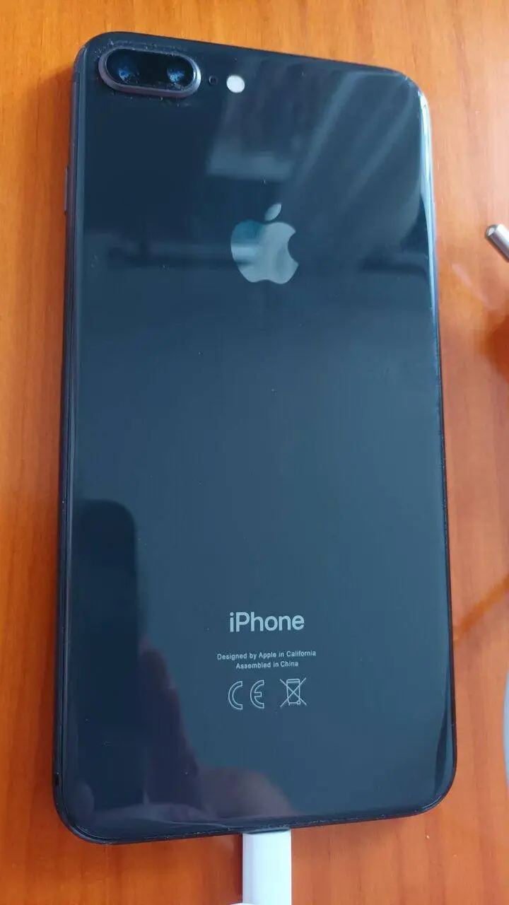 16945947576864323633407406055404.jpg