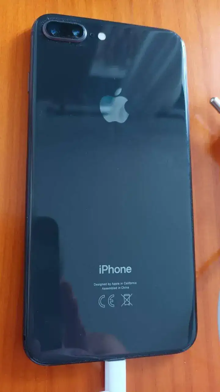 16945947576864323633407406055404.jpg