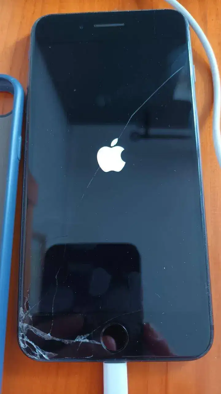 16945948308245955651452513925578.jpg
