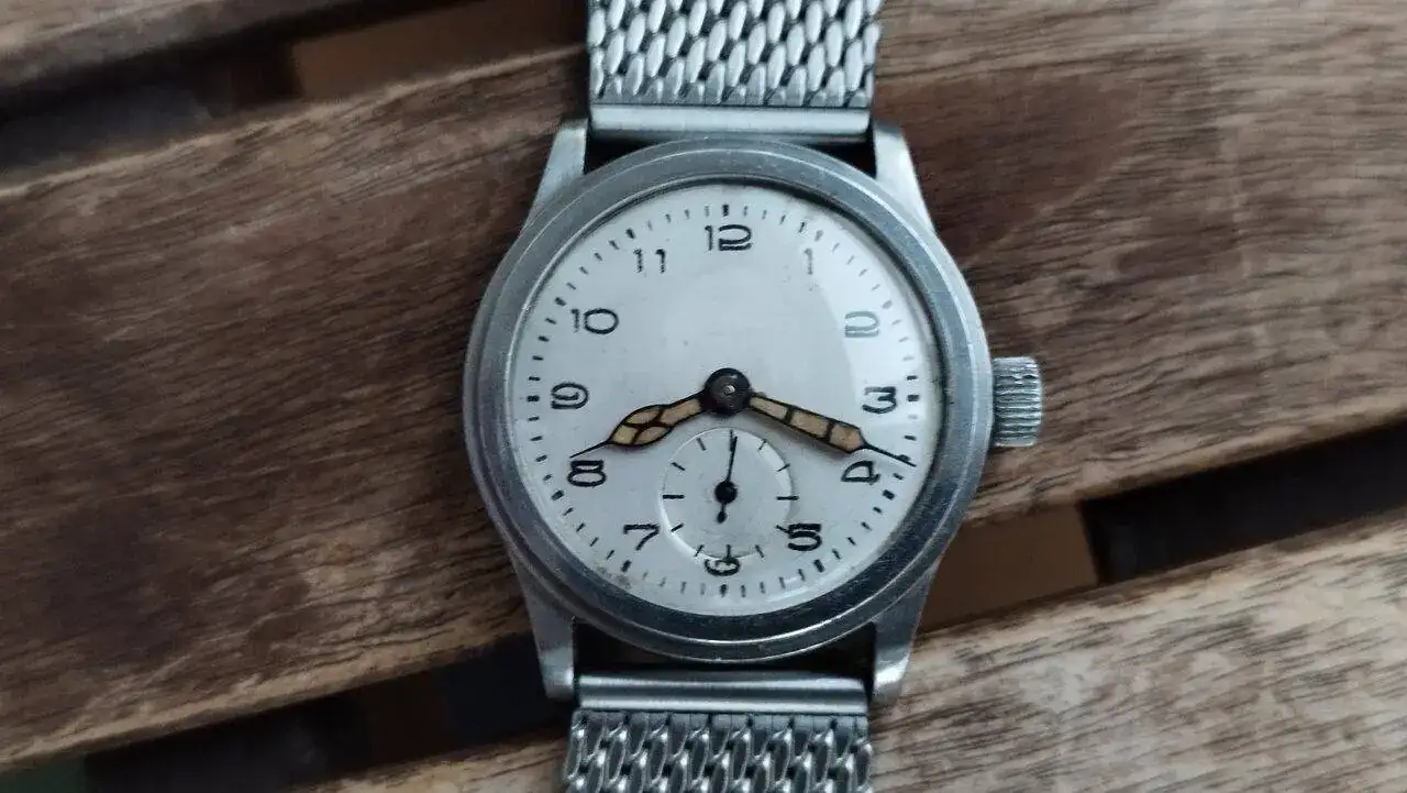 1694629542223.jpg