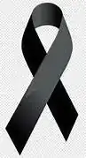 1698256278350.webp