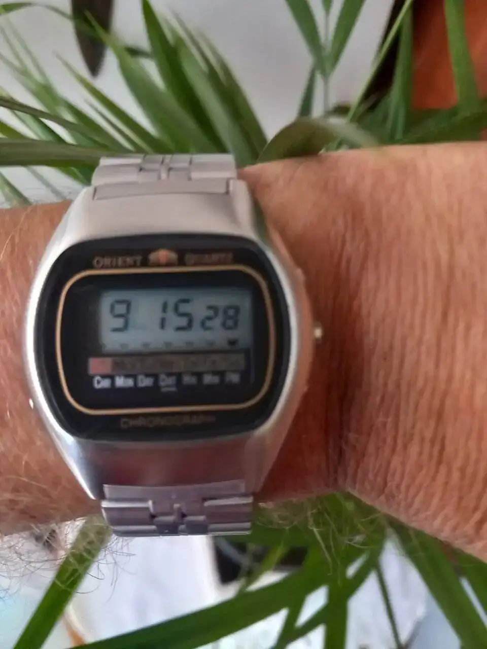 16984772998191923395130175246489.webp