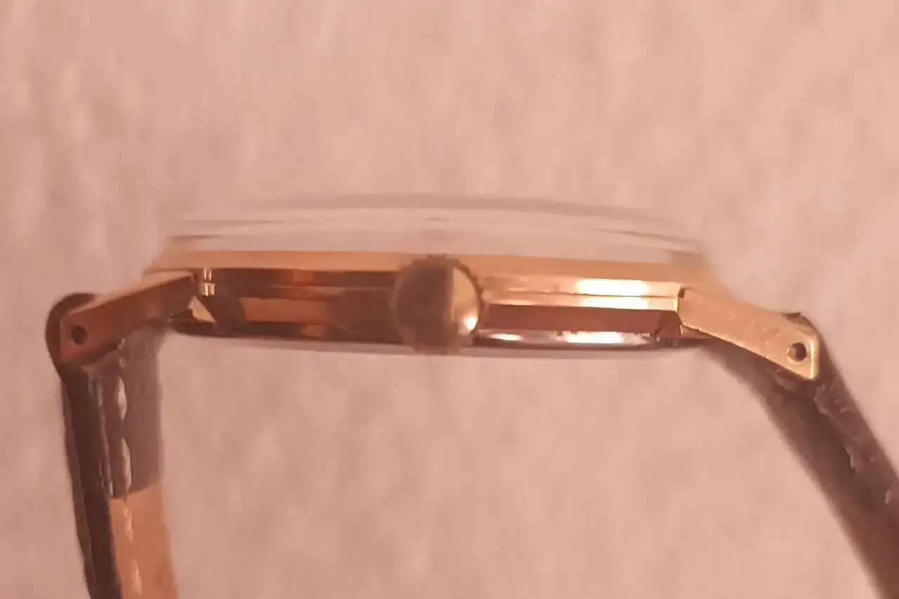 1699690343806.jpg