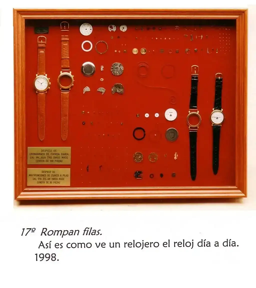 17.webp