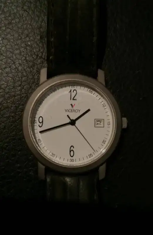 17042410 132 VICEROY 43307.webp