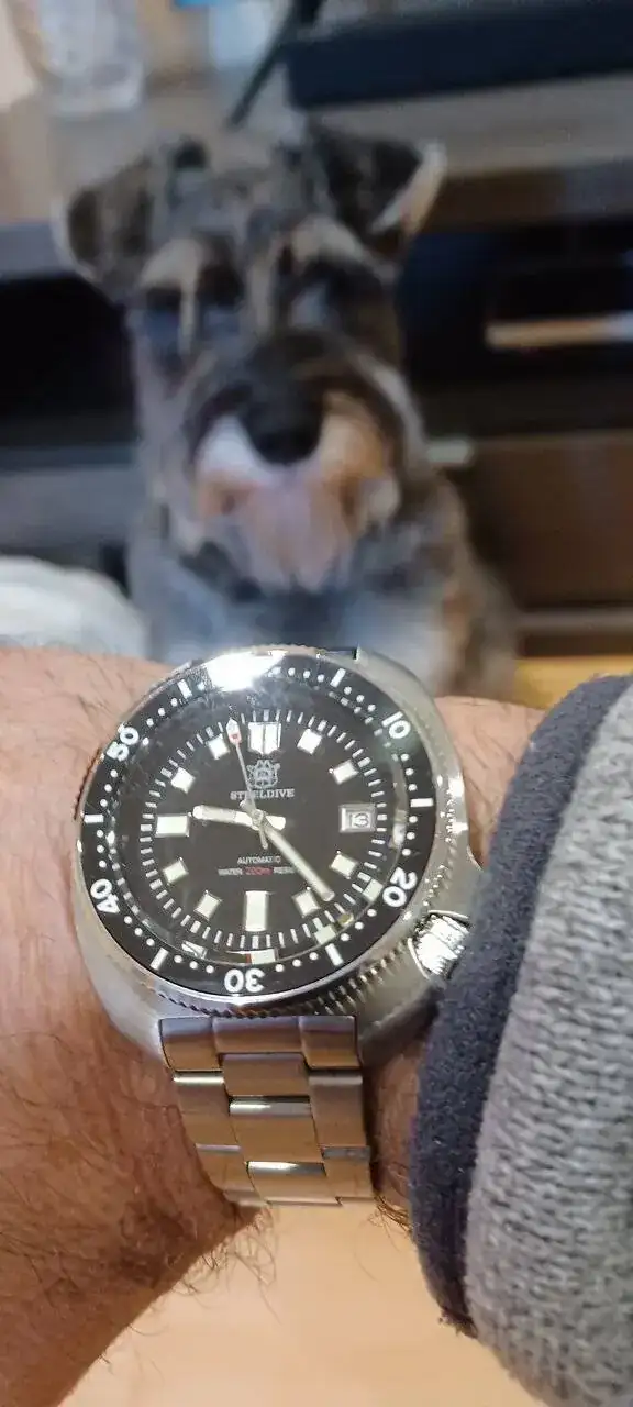 17051341241344265977875513576391.webp
