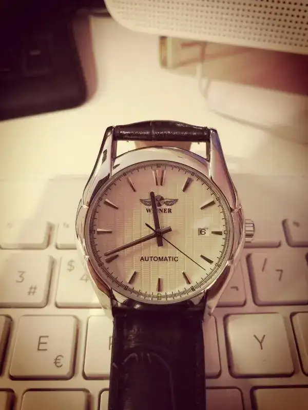 17060670 101 WINNER H006M.webp