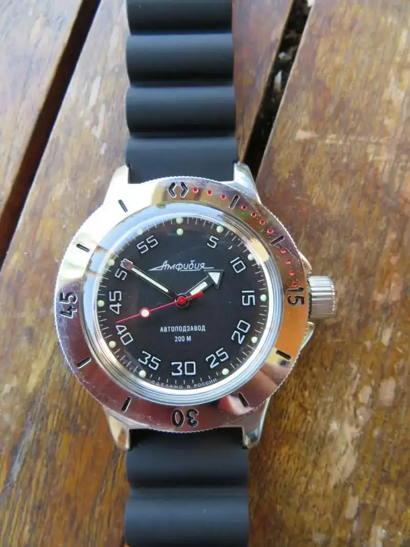17073170 102 VOSTOK AMPHIBIA100654.jpg