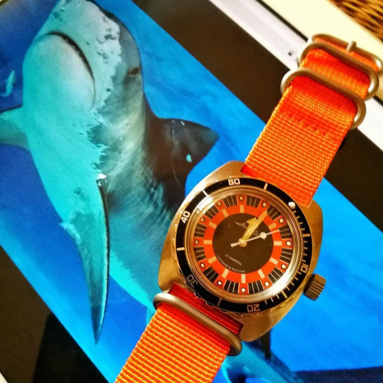 17100470 358 VOSTOK AMPHIBIAN SE150JI07.webp