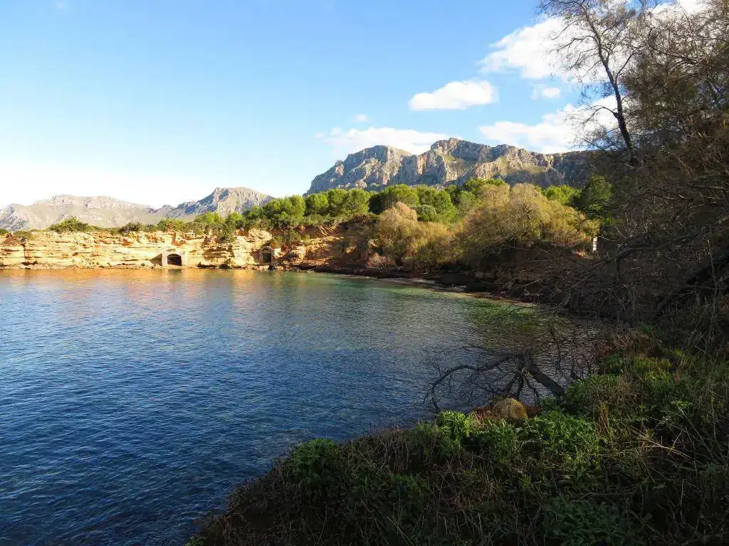 17120650 055 Paseando por Ca Los Camps y Colonia de Sant Pere.webp