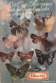 1720781660080.webp
