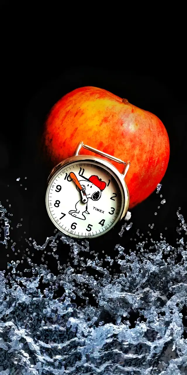 1721923422680_k11g6o_2_0-01.webp
