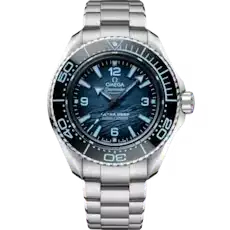 1723151751927.webp