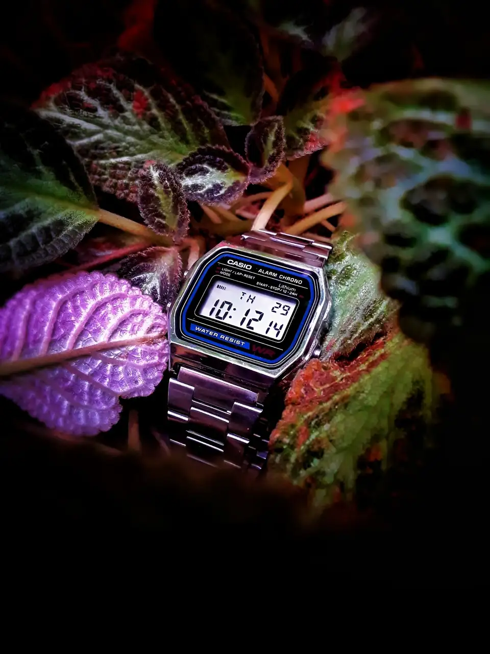 1724944581309_5pyk4f_2_0-01.webp