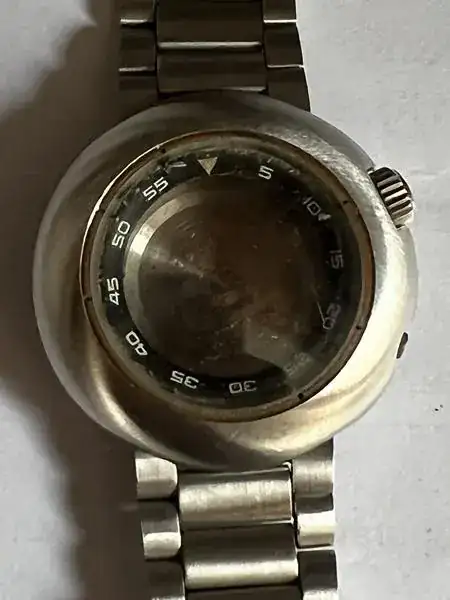 1733084519983.webp