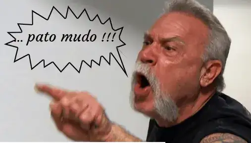 1734076888673.webp