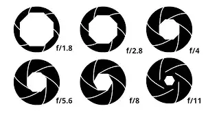 1741787258839.webp