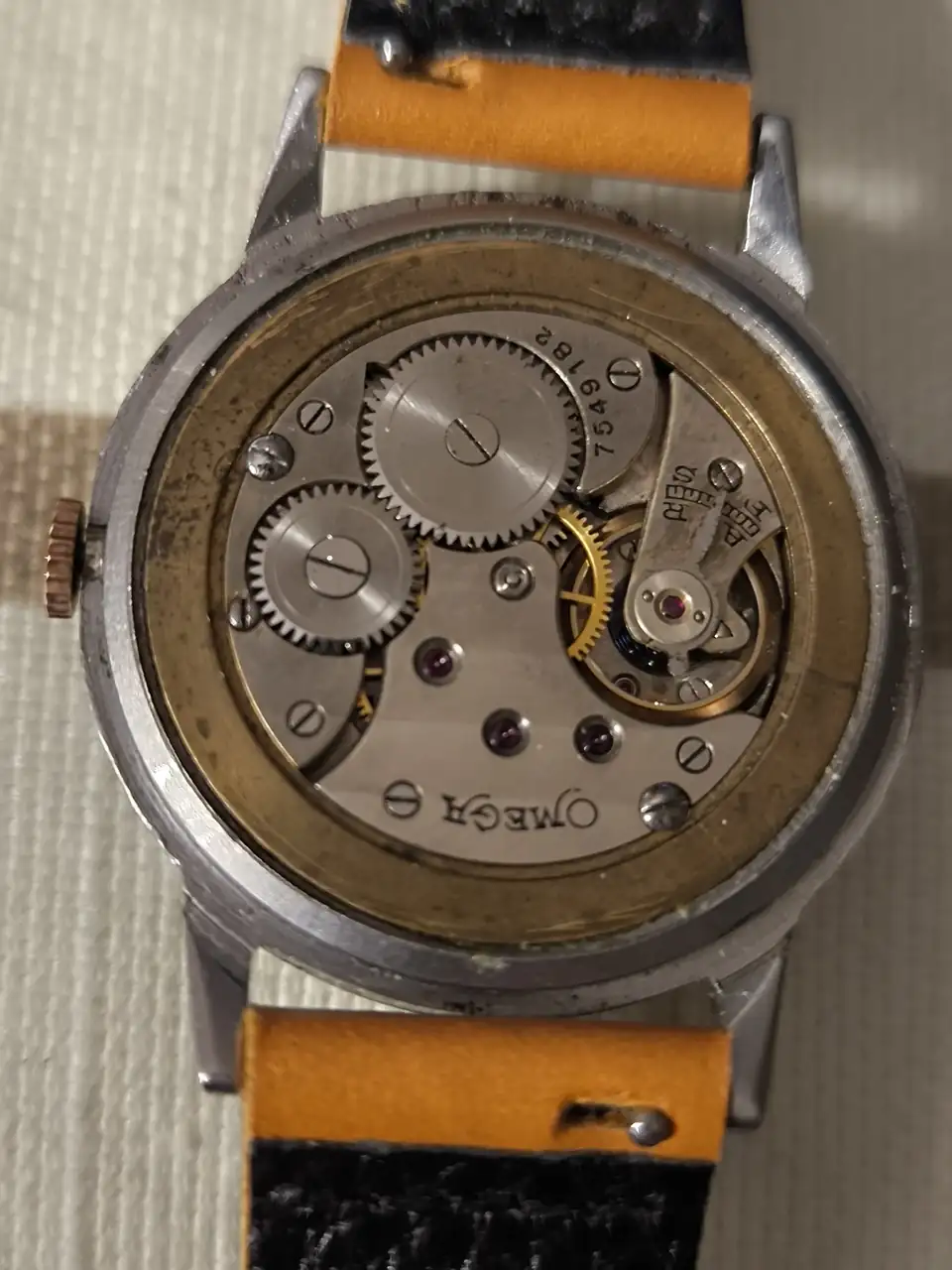 1743408019994 (1).webp